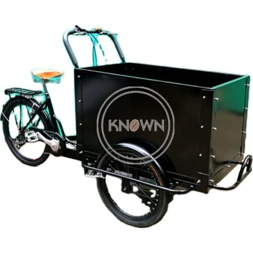Dutch Electric Adult Tricycle 3 Wheels Cargo Bike Aluminium Bicycle Frame for Sale European Standard
