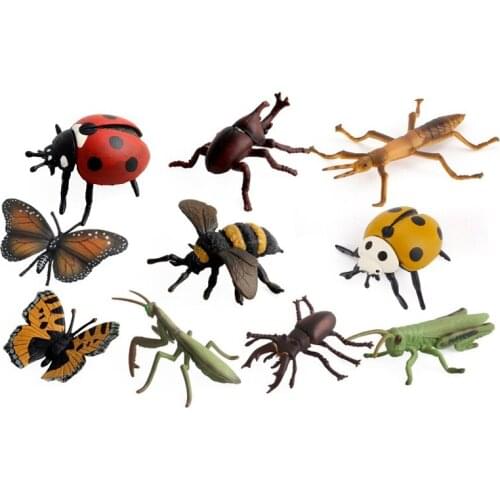 10PCS Simulation Insect Model Toys Childrens Insect Statuette Home Ornaments Kids Cognitive Educational Toys