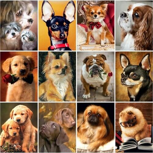 MomoArt New Arrival 5D DIY Diamond Painting Dog Full Square Round Diamond Embroidery Animal Mosaic Art Wall Art Decorations