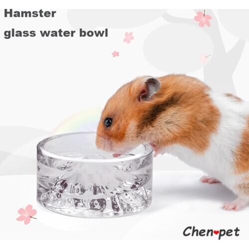 Special Design Small Pet Supplies Fuji Mountain Hamster Glass Water Feeder for Chinchillas Guinea Pig Accessories Water Bottle