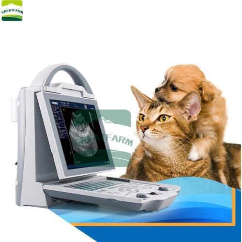 Dog Cat Pregnancy Testing Machine LED Screen Laptop Veterinary Ultrasound Scanner Disease Scanner