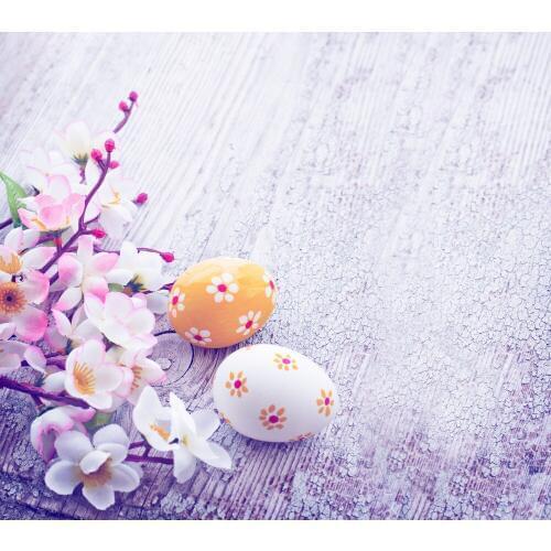 Eggs Plum Background For Photo Studio Picture Background Baby Shower Backdrop E190127A65