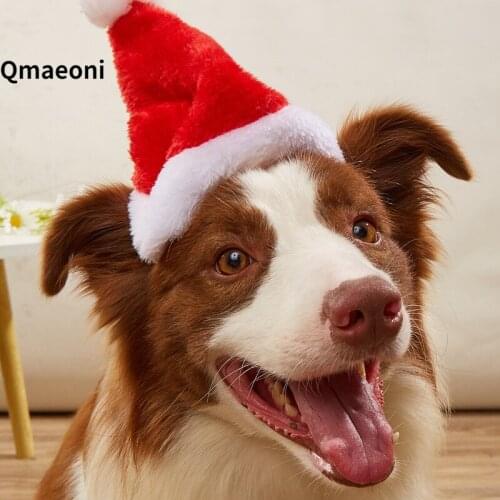 Qmaeoni Hats For Dogs