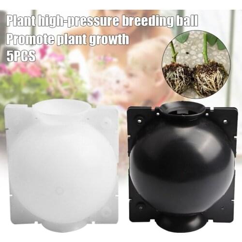 1/2/5pcs Plant Rooting Ball Grafting Rooting Growing Box Breeding Case for Garden SDF-SHIP