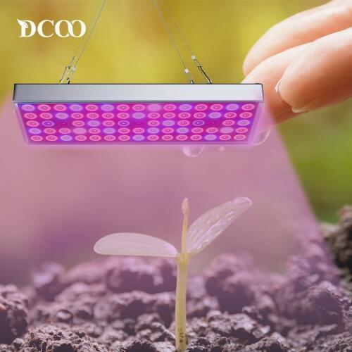 DCOO Plant Lamps
