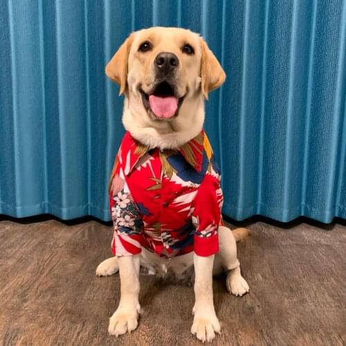 Big dog clothes summer and autumn shirt breathable sunscreen holiday style golden retriever greyhound two-legged clothing