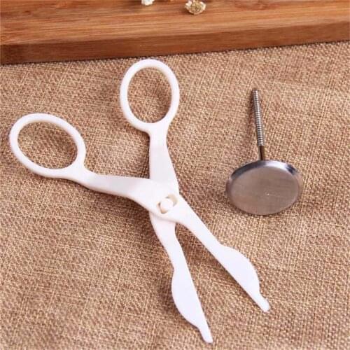 Piping Flower Scissors Nail Kitchen Baking Pastry Tool Rose Decor Lifter Fondant Cake Decorating Tray Cream Transfer Tools