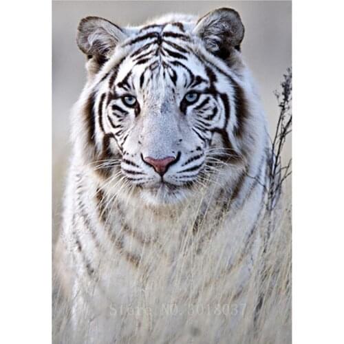 Diamant Diy 5D Diamond Painting Cross Stitch White Tiger In The Grass Needlework Diamond Embroidery Full Diamond Decorative Kits