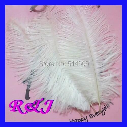 Free shipping Cheap ostrich feather 50pcs 4-6 inches 10-15cm White Ostrich plumage ostrich plume