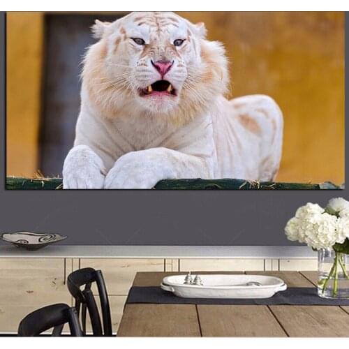 White Tiger Wild Animals Canvas Painting Scandinavia Posters and Prints Cuadros Wall Art Pictures For Living Room