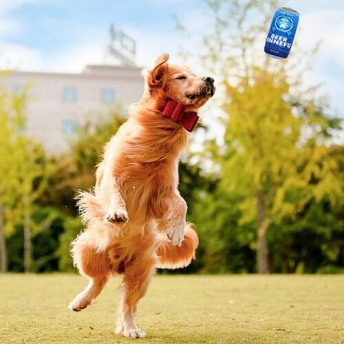 Cute Plush Dog Chew Toys with Squeaking Noise Holiday Gift for Pets Home Travel Interactive Dog Chewing Toys Teeth Mollar Dolls