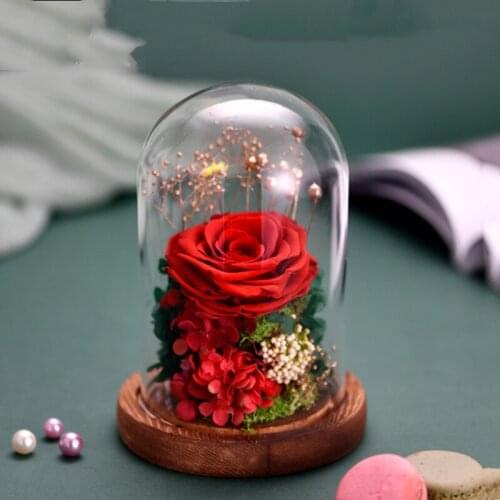 2sets/pack 10*12cm Antique Wood Base Glass Dome Vase Home Wedding Decoration Diameter=10cm Height=12cm Glass Dome Friend Gift