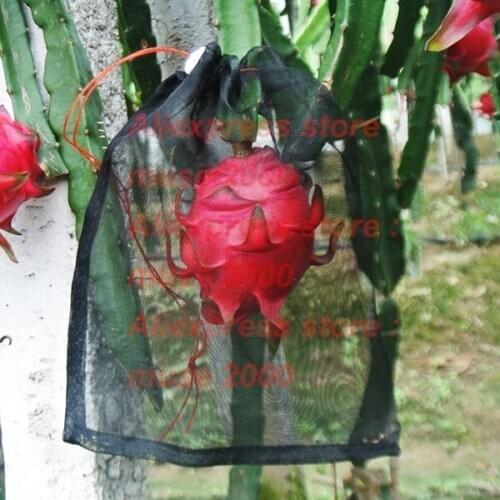 40 Mesh nylon net bag agriculture fruit plant cover vegetable insect bird net bag Vermin rice seed soaking Laundry washing Bag