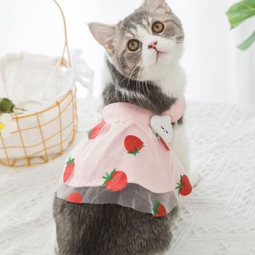 Cloud Strawberry Mesh Skirt Spring Summer Pet Clothes Dog Sling Princess Style Dress New Cute Thin Cat Clothing Small Medium Dog