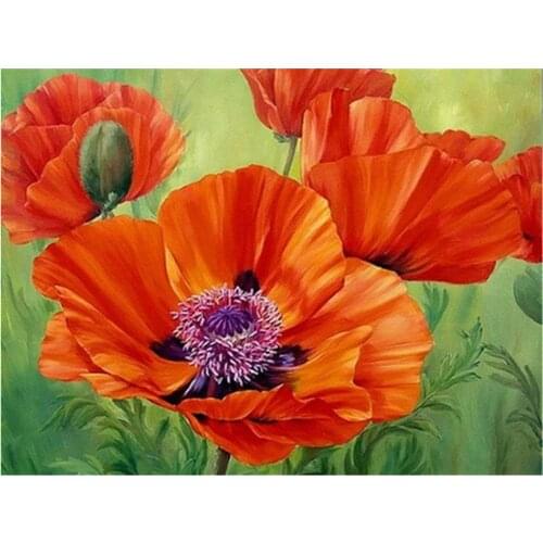 Poppy Flower DIY Cross Stitch Embroidery 11CT Kits Needlework Craft Set Printed Canvas Cotton Thread Home Decoration Sell