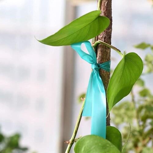 Garden Plant Stretch Tie Tape Multi-Purpose Reusable Flower Plant Fixing Band for Garden Courtyard Greenhouse XHC88
