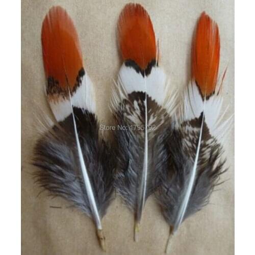 Wholesale Lady Amherst 100pcs 5-10cm Copper Chicken Pheasant Tail Feathers For DIY Crafts Jewelry Accessories Decoration Plume