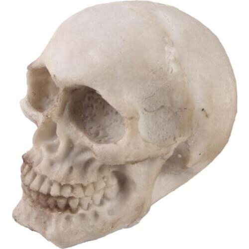Home decoration human skull resin statue craft mini skull sculpture Halloween prop Horror personality party decoration p0744