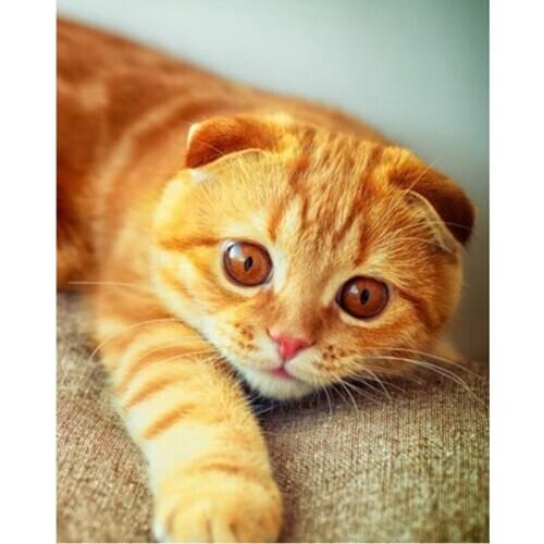 GLymg Diy Diamond Embroidery Mosaic Gift 5D Diamond Painting Cross Stitch Cute Orange Cat Diamond Wall Arts Decor