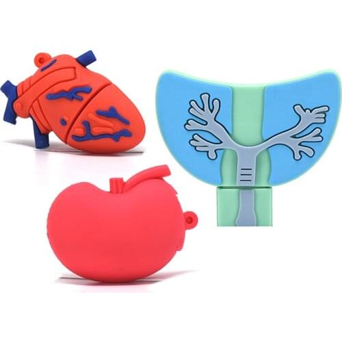 Heart Usb Flash Drive Human organs Pen Drive Cartoon Memory Stick Pendrive U Stick 4GB 8GB 16GB 32GB 64GB 128G 256G Doctors Gift