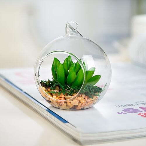 4pcs/pack Diameter=15cm Glass Terrarium Vase Home Decoration DIY Micro Landscape Round Shaped Candle Holder Friend Gift