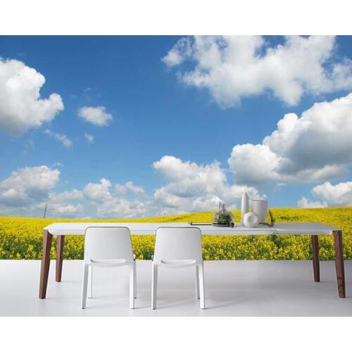 Papel de parede Blue sky white clouds and yellow field natural 3d wallpaper,living room TV wall bedroom wall papers home decor