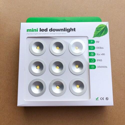 Diameter 30MMDC12V 1W LED MINI Downlight Bridgelux Chip Waterproof IP65 LED Spot Light LED Cabinet Light LED Downlight 60 Degree