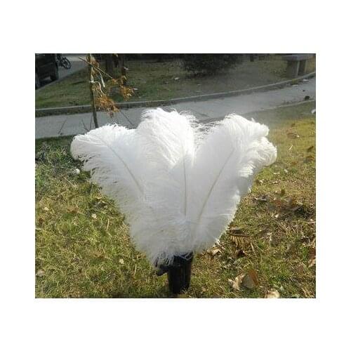 Sell high quality 20pcs / lot white ostrich feather 20-22 "/ 50-55cm, DIY jewelry accessories /Wedding decoration