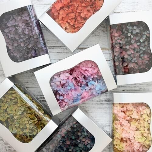 20g/lot,Grade A Eternal Anna Hydrangea,Nature Real Gradient color Flower for DIY Wedding Tiaras Decoration,Gift box Decor favor
