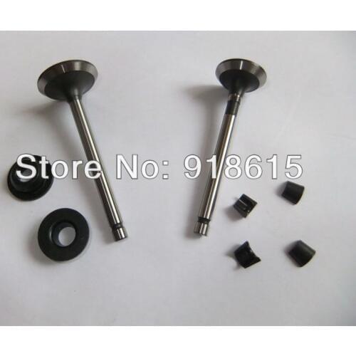 KM170F Valve Valve Seat and kit kipor kama diesel generator parts