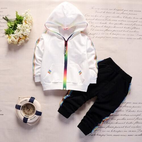Autumn Toddler Infat Tracksuit Baby Sets Children Boys Girls Casual Clothes Kids Cotton Hooded Zipper Jacket Pants 2 Pcs Suits