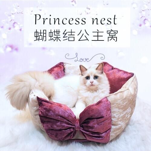Pet Supplies Elegant Bow Pet Princess Dog Bed Warm Cute Cat Nest Round Puppy Mat Beds Small Doggy House Pet Basket Teddy Sofa