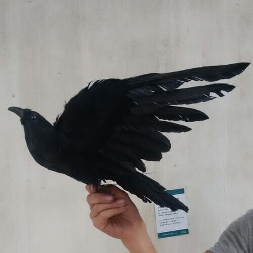 New simulation look up crow toy plastic & furs wings crow model doll gift about 40x25cm 1727