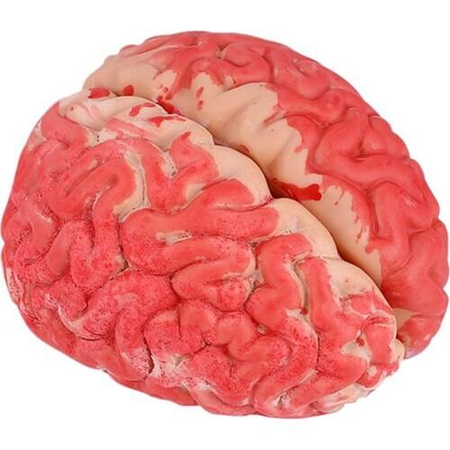 1Pc Halloween Prop Bloody Scary Fake Organ Human Brain Body Parts for Halloween Party Accessories(Dark Red)