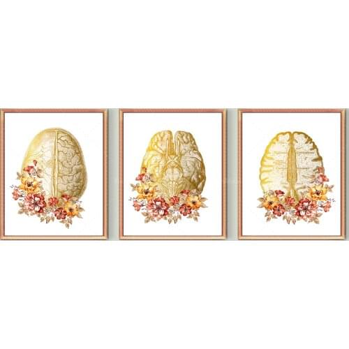Neurology Art Gold Anatomical Brain and Flowers Poster Detailed Brain Anatomy Art Medical Decor Neurologist Gift Psychologist Gi