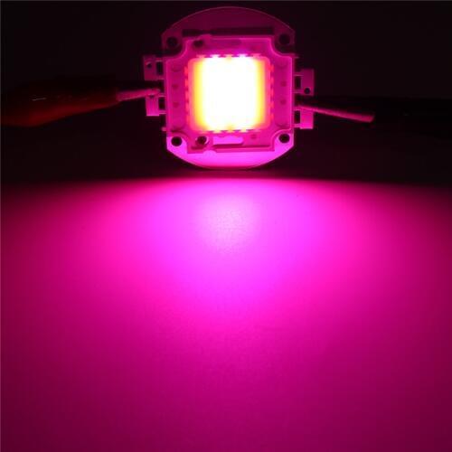 LED Chip Grow Light 10W 20W 30W 50W 100W Full Spectrum Plant Lamp Diodes Growth Lighting for Garden Flowering Hydroponics System