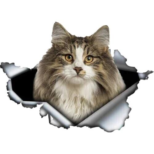 3cm x 9.4cm For Cat Occlusion Scratch Car Sticker Waterproof Decal Car Styling Personality Scratch-Proof Decoration