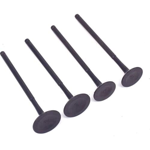 Motorcycle NC250 Engine Parts Valve Set (intake-exhaust) For ZONGSHEN 250CC NC250 KAYO T6 BSE RX3 ZS250GY-3 4 Valves Parts