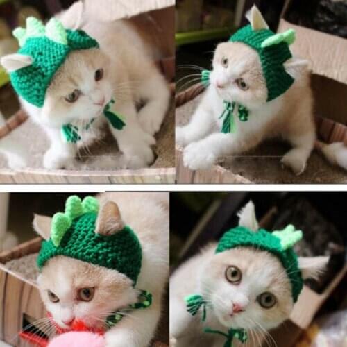Green Dinosaur Wool Cap Cosplay Decorative Hat Headdress for Pet Kitten Cat