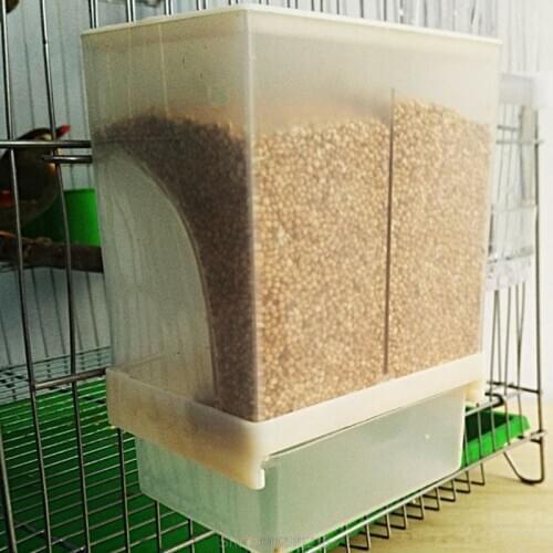 Automatic Birds Feeder Poultry Feeding Tool Fodder Food Container Splashproof Storage For Pigeon Parrot Chicken O31 20 Dropship
