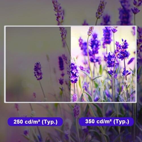 Original Innolux M270KCJ-K7B 2K LCD HD Display Screen WithoutTouch For Desktop Monitor 27 Inch 2560(RGB)×1440 Quad-HD 108PPI