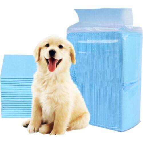 50/100pcs Dog Training Pee Pads Super Absorbent Pet Diaper Disposable Healthy Clean Nappy Mat for Pets Dairy Diaper Supplies