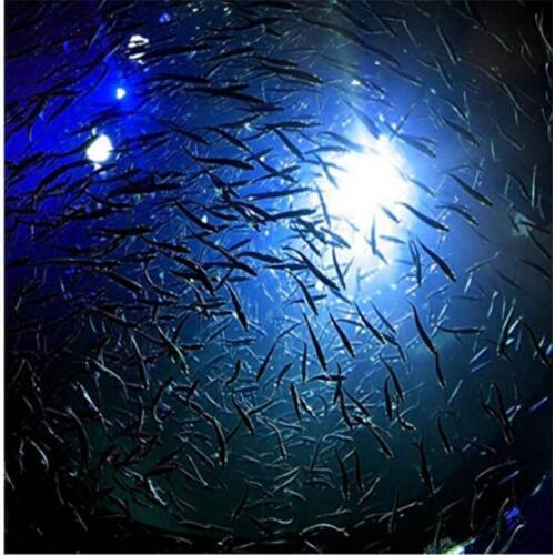 150W 12V LED Green Underwater Submersible Night Fishing Light Crappie Squid Boat Light Dock Lamp