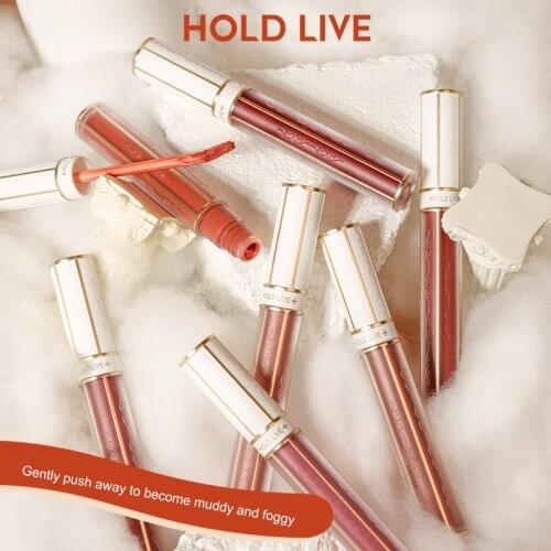 HOLD LIVE Cloudy Misty Lip Mud Lip Gloss Velvet Matte Liquid Lipstick Long Lasting Not Stick Cup Lip Glaze Sexy Lip Makeup TSLM2