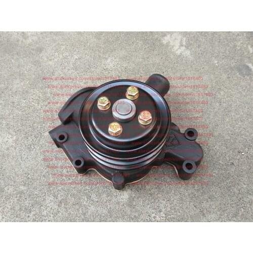 JDM490G Water Pump, Jiangdong JD engine parts