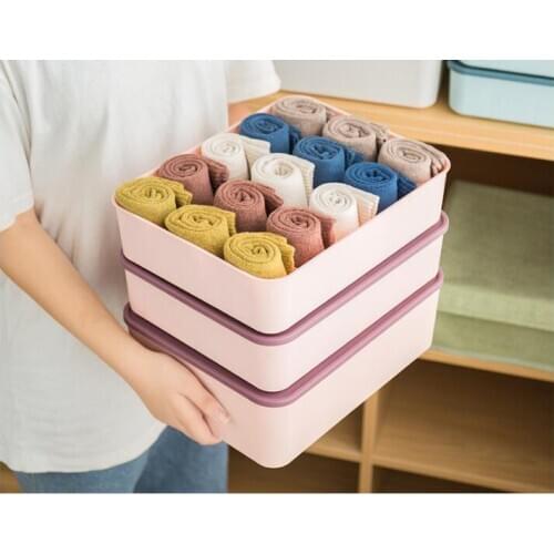 1PC Underwear Storage Box Plastic Drawer Closet Organizers Solid Color Case Home Decor for Bras Briefs Socks Ties Scarfs XB 071