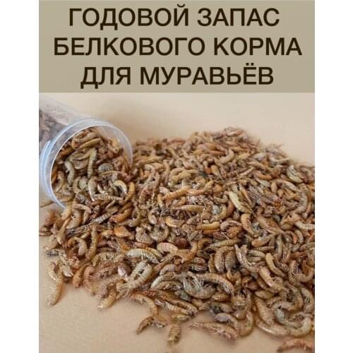 NUMI-CON Reptile Products
