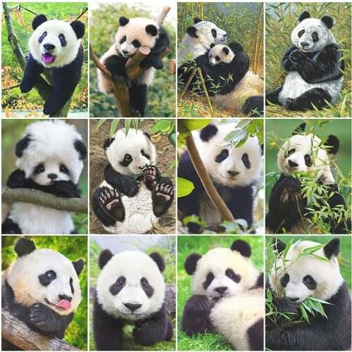 MomoArt Panda Diamond Painting New Arrival Diamond Embroidery Animal Full Drill Square Mosaic Spring Cross Stitch Handmade Gift