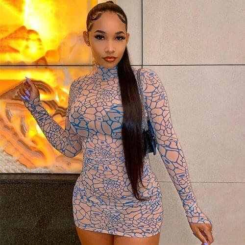 Sisterlinda Fashion Print Graphics Sexy See Through Bodycon Mini Dresses Women Long Sleeve Stretchy Basic Clubwear Party Outfits