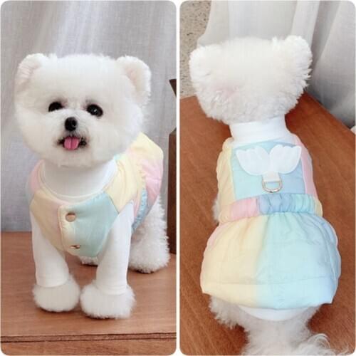 Cat Dog Dress Winter Dog Clothes Harness Skirt Chihuahua Yorkshire Small Dog Costume Coat Poodle Bichon Pomeranian Clothing